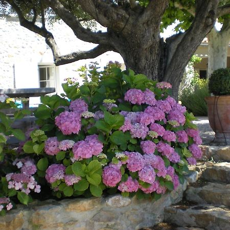 Bastide De Fontvieille Saint-Cyr-sur-Mer Exterior foto