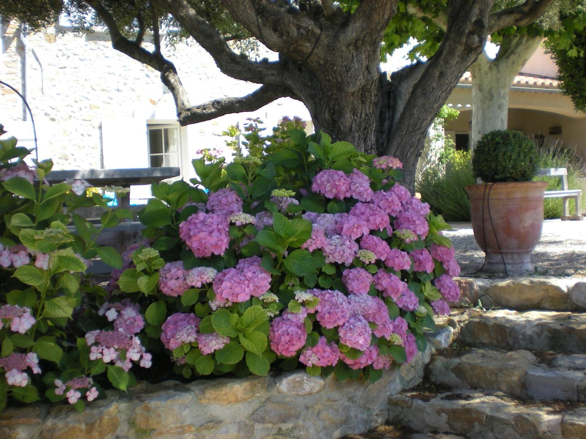 Bastide De Fontvieille Saint-Cyr-sur-Mer Exterior foto